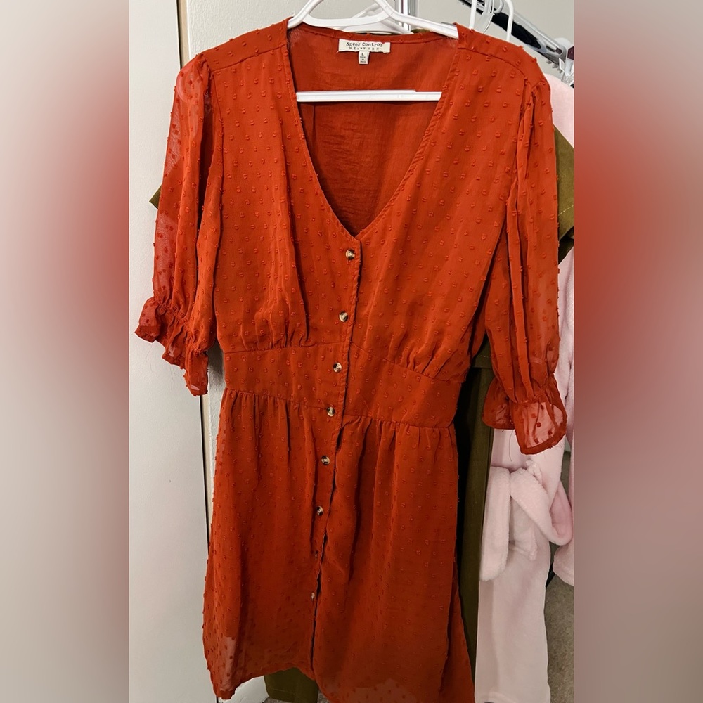 Rust color swiss dots dress. Large size. Used once only.
